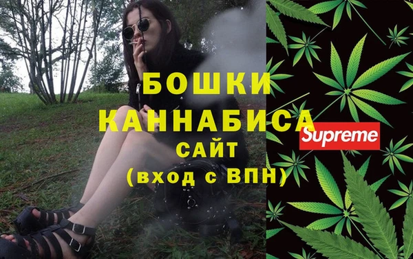 сатива Сафоново