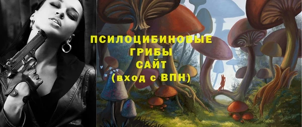 сатива Сафоново