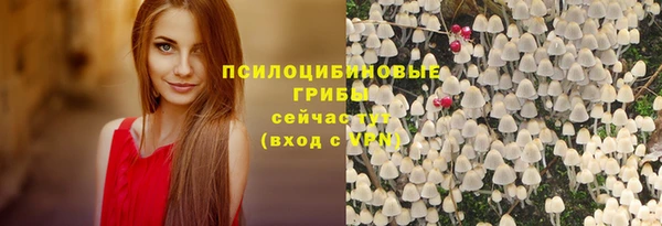 сатива Сафоново