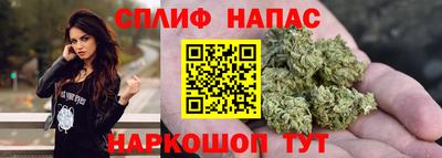 a pvp Славгород