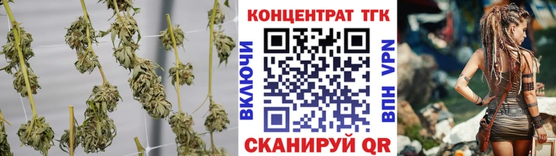 ТГК Wax  Сертолово 