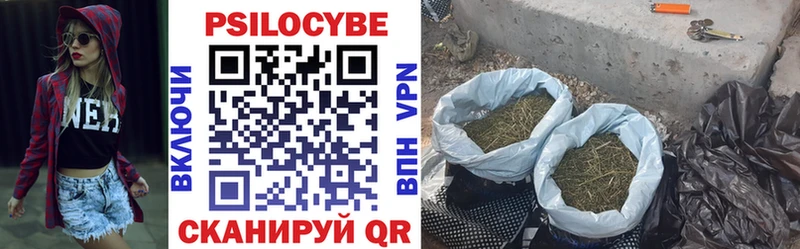 Псилоцибиновые грибы GOLDEN TEACHER  купить   Сертолово 
