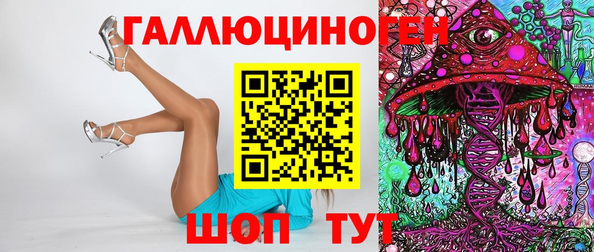 Псилоцибиновые грибы Psilocybine cubensis Сертолово