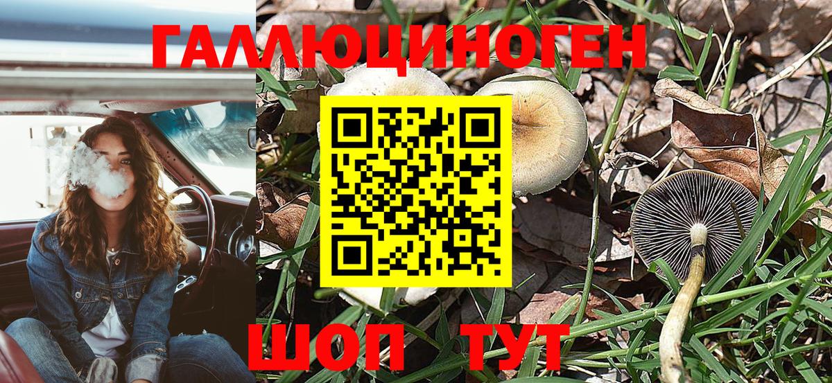 Сертолово  Галлюциногенные грибы прущие грибы  цена   Вход с VPN 